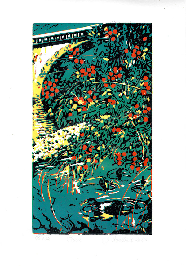Les Canards de Sauve 5/20 by Julia Kaulbach