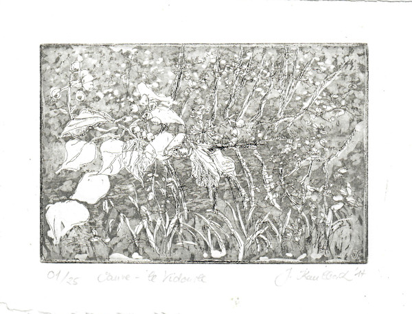 le vidourle aquatinta black 1/1 by Julia Kaulbach