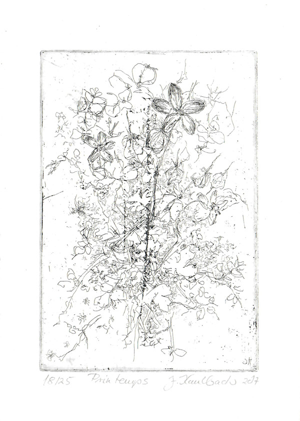 Printemps 18/25 by Julia Kaulbach