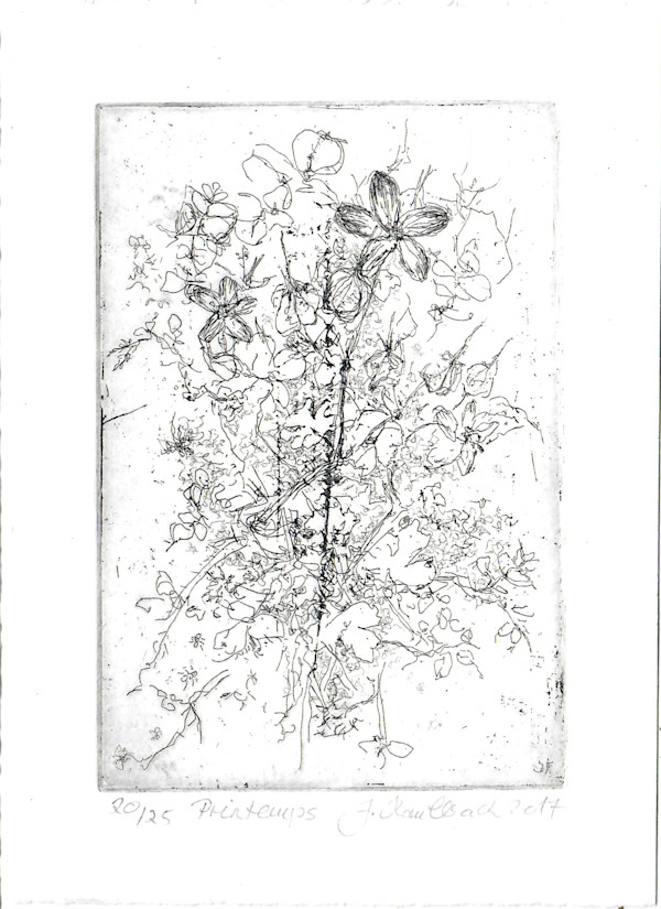 Printemps 20/25 by Julia Kaulbach