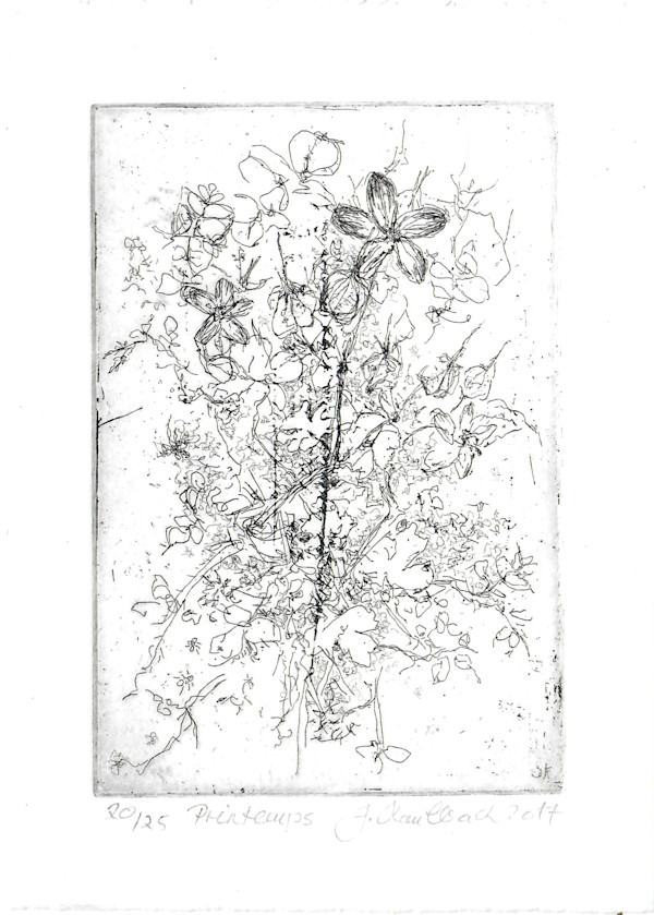 Printemps 20/25 by Julia Kaulbach