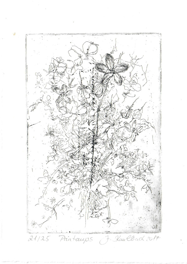 Printemps 21/25 by Julia Kaulbach
