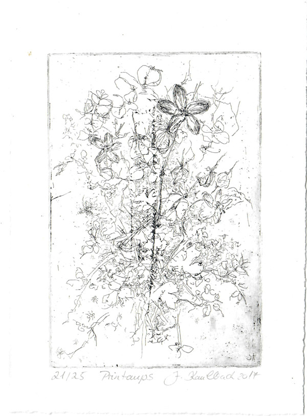 Printemps 21/25 by Julia Kaulbach