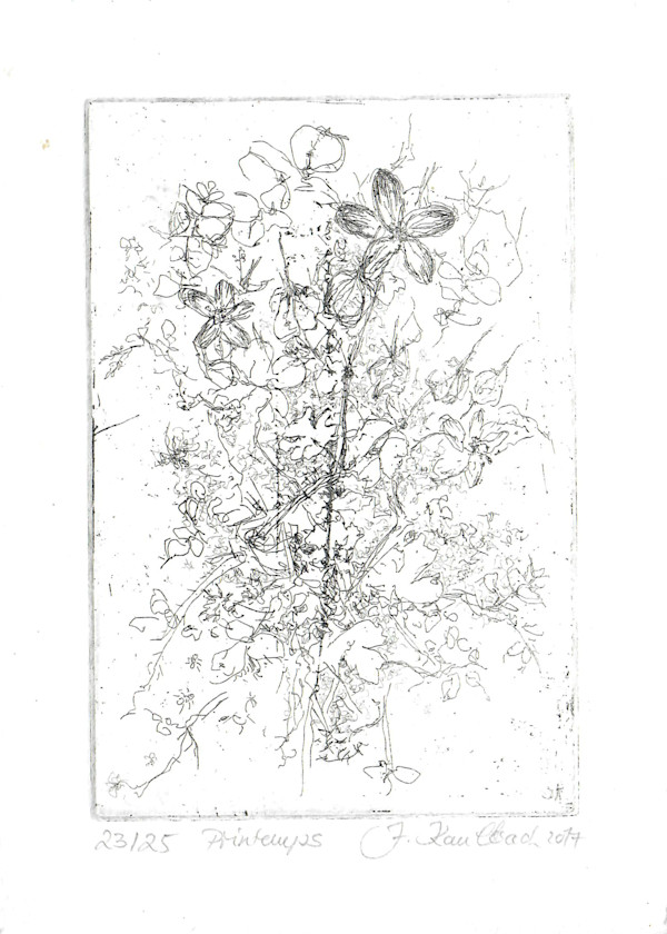 Printemps 23/25 by Julia Kaulbach