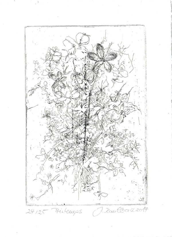 Printemps 24/25 by Julia Kaulbach