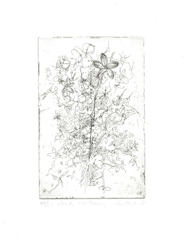 Printemps 1/25 by Julia Kaulbach