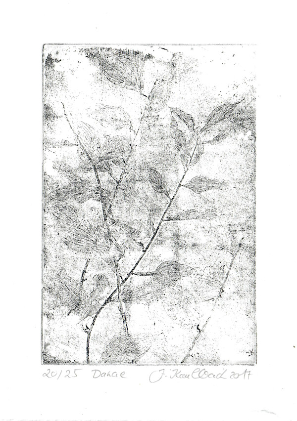 Danae schwarz 20/25 by Julia Kaulbach