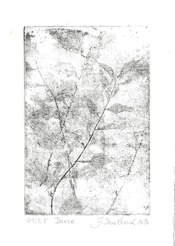 Danae schwarz 21/25 by Julia Kaulbach