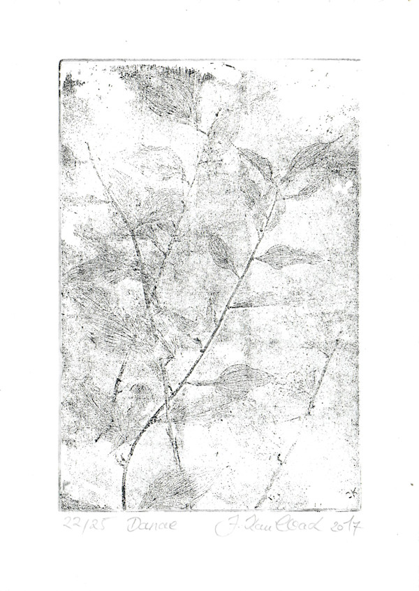 Danae schwarz 22/25 by Julia Kaulbach