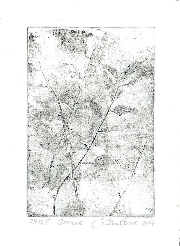 Danae schwarz 24/25 by Julia Kaulbach