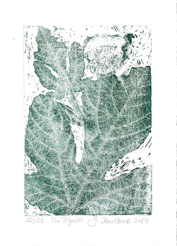 Figue vert 22/25 by Julia Kaulbach