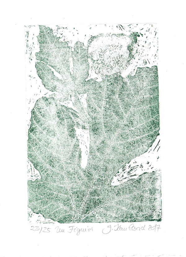 Figue vert 23/25 by Julia Kaulbach