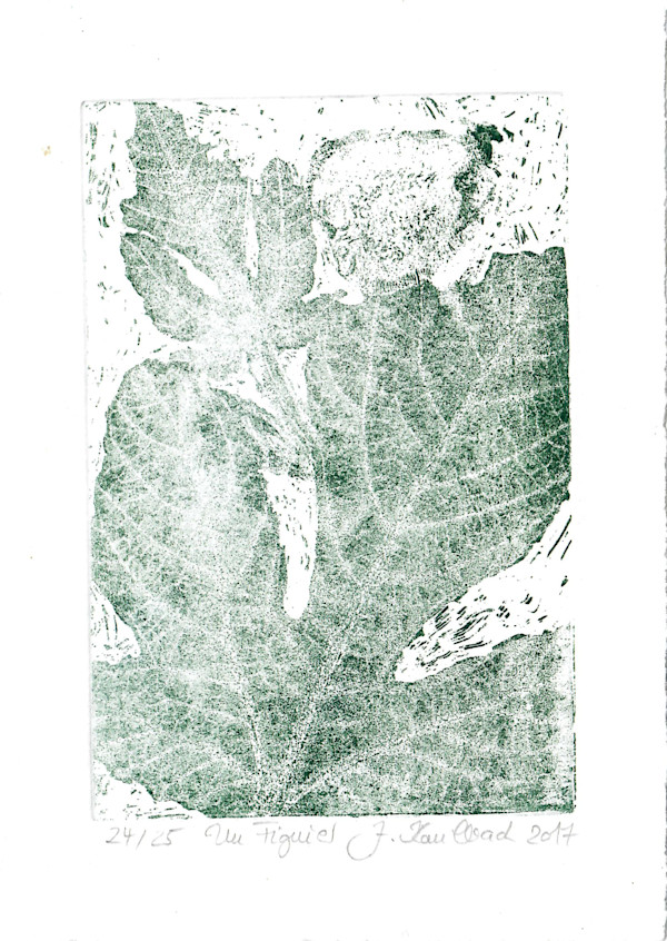 Figue vert 24/25 by Julia Kaulbach