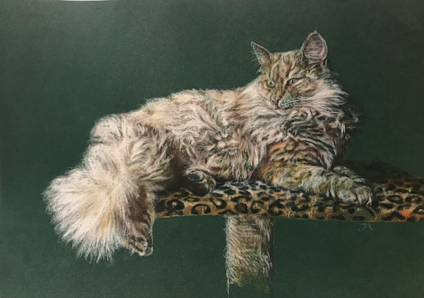 Katze Eden by Julia Kaulbach