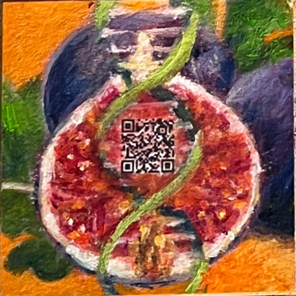 Seeds Figue by Julia Kaulbach