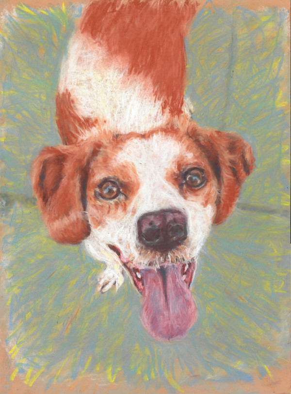 Hund Cyril by Julia Kaulbach