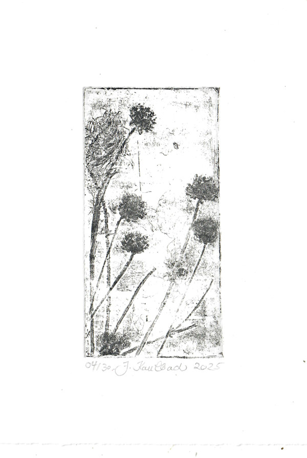 Petite fleure 4/25 by Julia Kaulbach