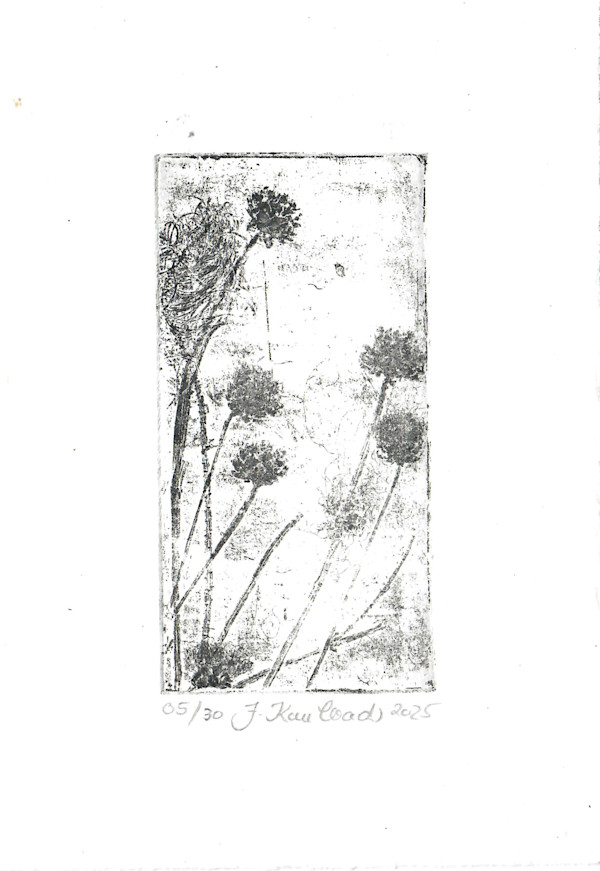 Petite fleure 5/25 by Julia Kaulbach
