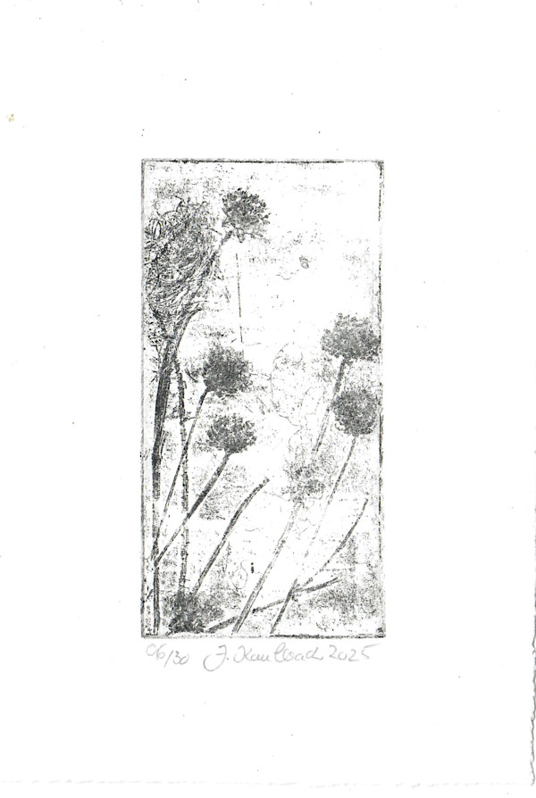 Petite fleure 6/25 by Julia Kaulbach