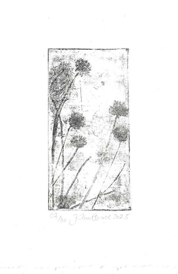 Petite fleure 7/25 by Julia Kaulbach