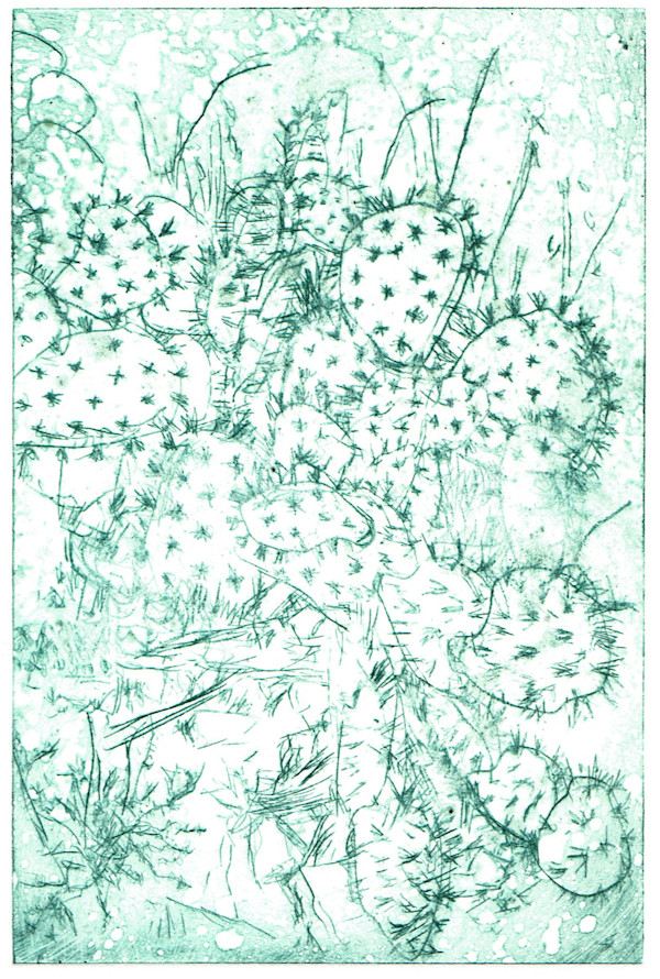 Un Cactus #1 by Julia Kaulbach