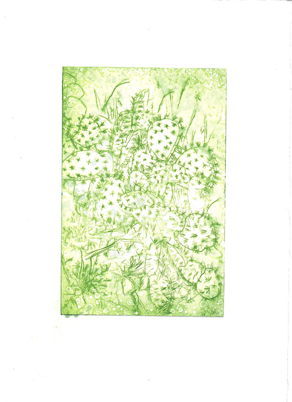Cactus Monoprints Proof #3 by Julia Kaulbach