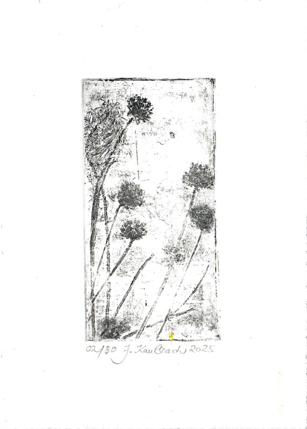 Petite fleure 2/25 by Julia Kaulbach