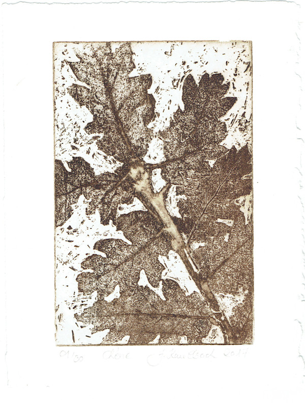 Chene, maron 5/30 by Julia Kaulbach