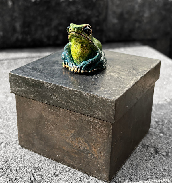 Curiosity Box - Frog by Cindy Stevens, Image 4.