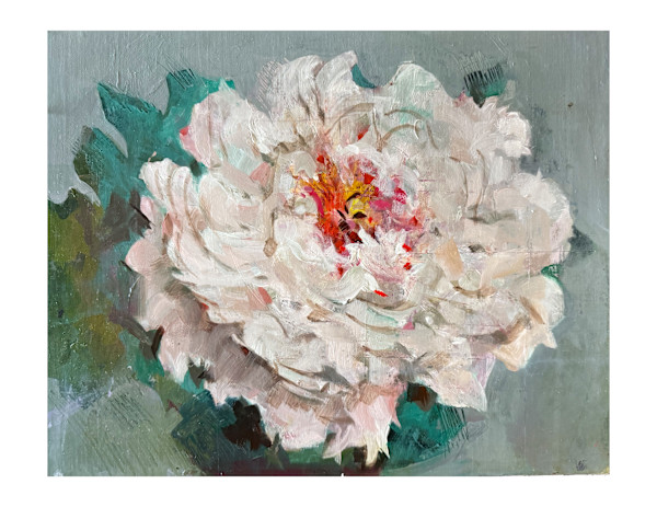 Chrysanthemum by nikki