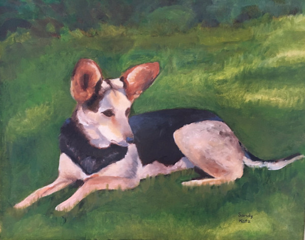 Shepherd Mix by Sandy Katz