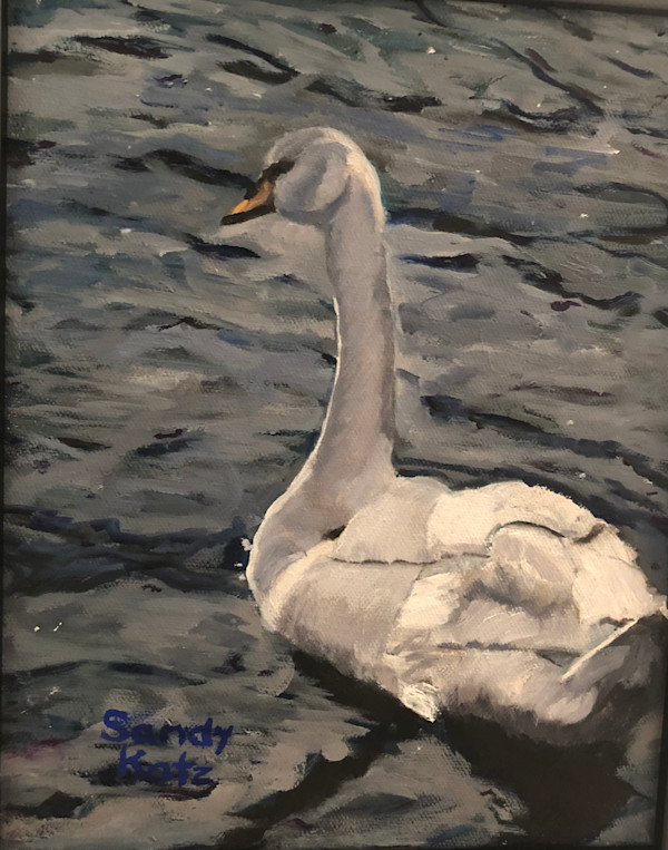 Swan at Jamaica Pond by Sandy Katz