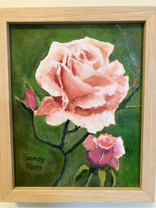 First Rose of Summer by Sandy Katz