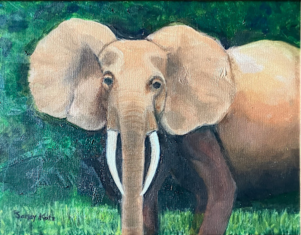 Save Elephants by Sandy Katz