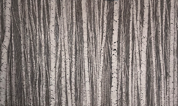 Birch Trees by Young Kim