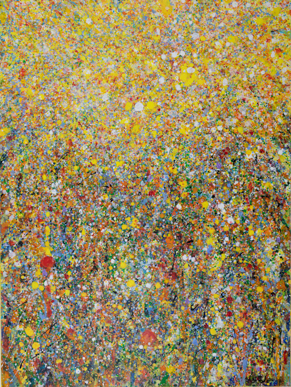 Sun Spots by Y. F. Shebeko