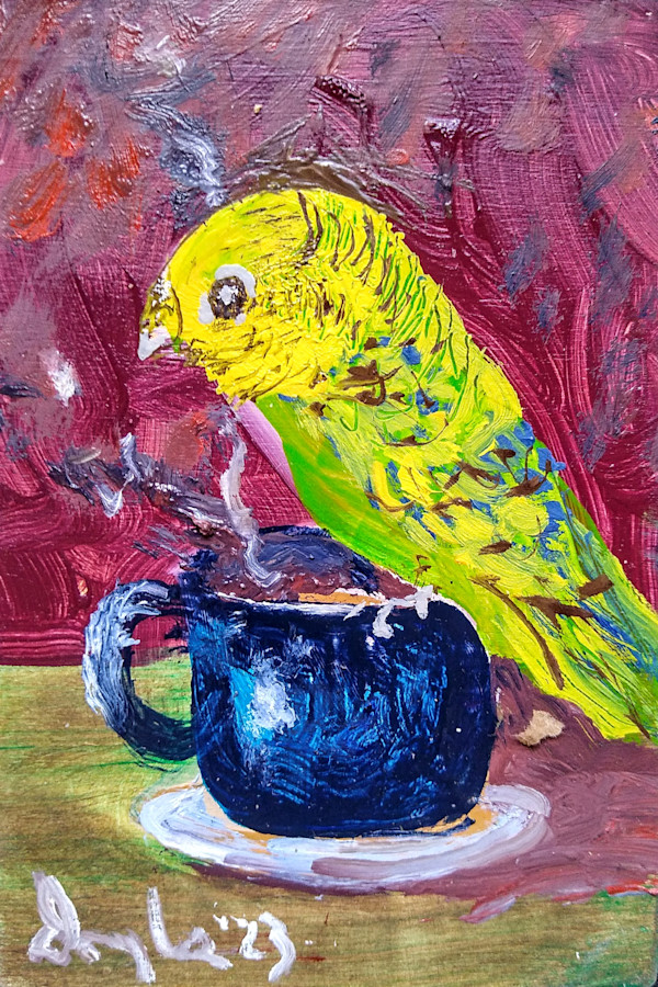 Big Headed Budgie Claims Cuppa by Douglas Black
