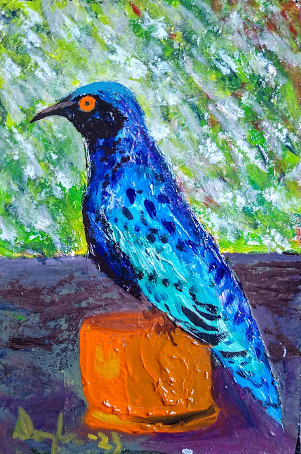 Blue Winged Grackle by Douglas Black