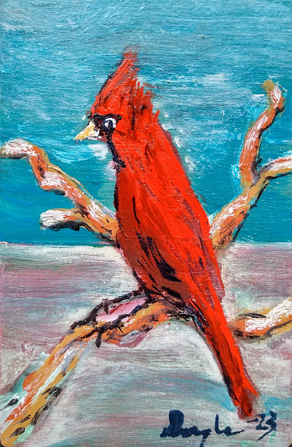 Cardinal Surveys Ice Cap by Douglas Black