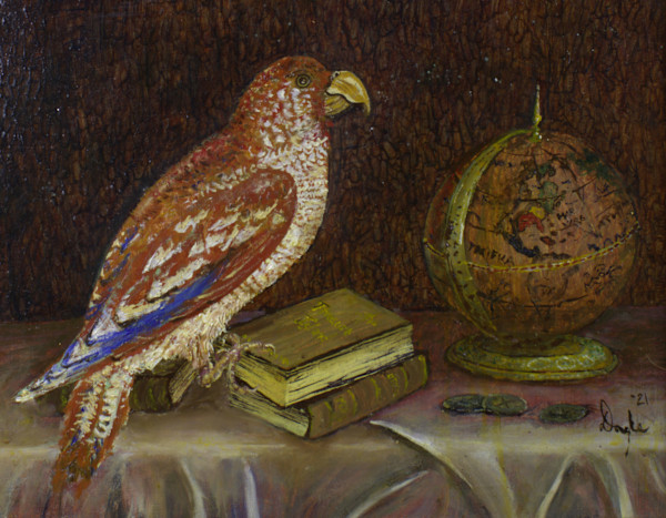 Jamaican Parrot by Douglas Black