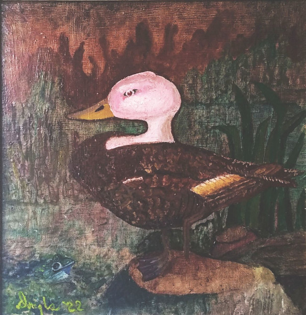 Pink Headed Duck by Douglas Black