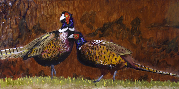Pair Of Ring-necked Pheasants by Douglas Black