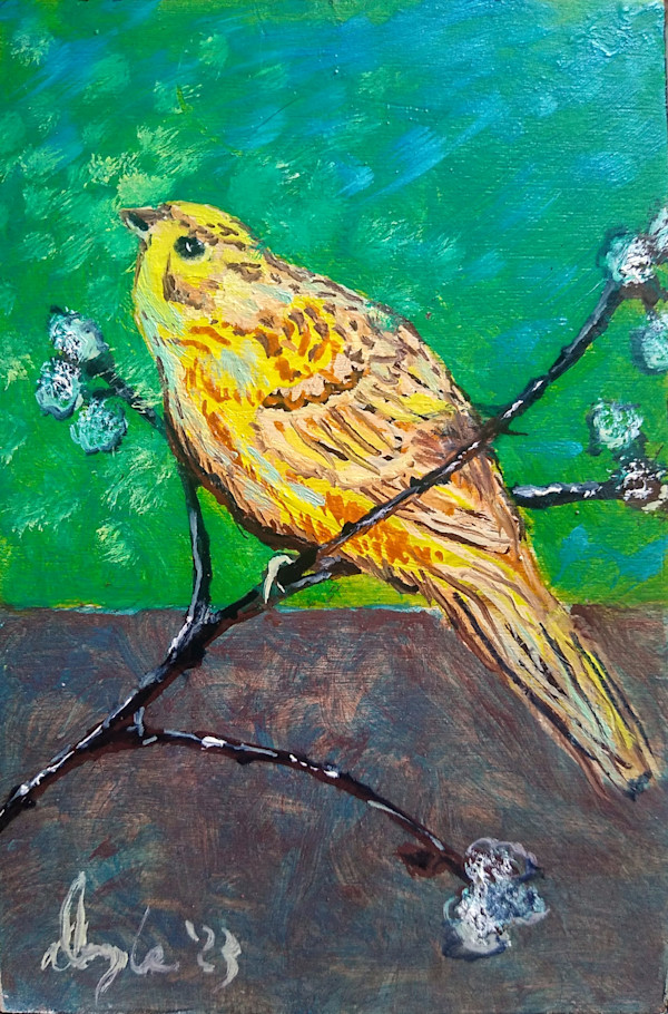 Yellowhammer Remains Indecisive by Douglas Black