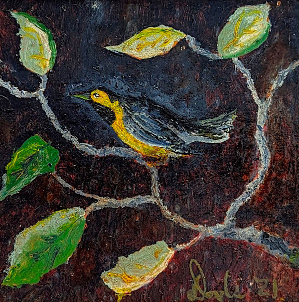 Bachman's Warbler by Douglas Black