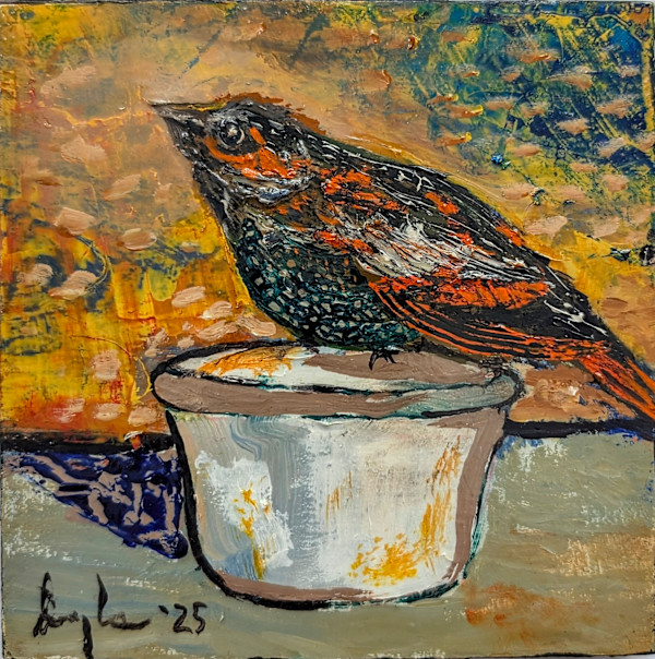 Fledgling Finds Respite by Douglas Black