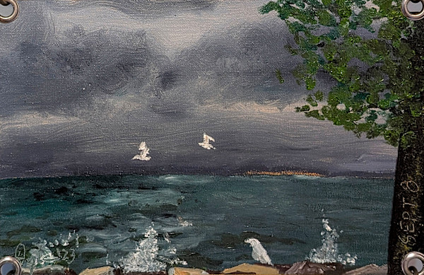 08 September, 6:40am by Douglas Black