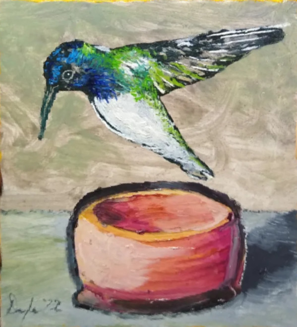 Hummingbird Hovers Over Clay Pot by Douglas Black