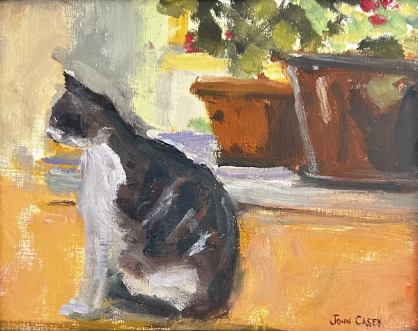 Feline Serenity by John Casey