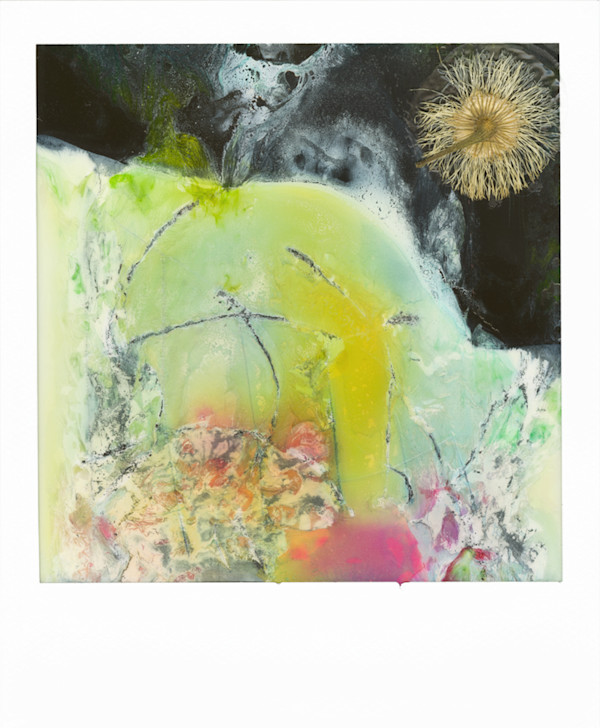 Flotsam by Wanda Oliver