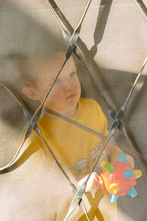 Through a Screen Softly by Wanda Oliver